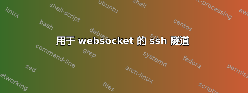 用于 websocket 的 ssh 隧道