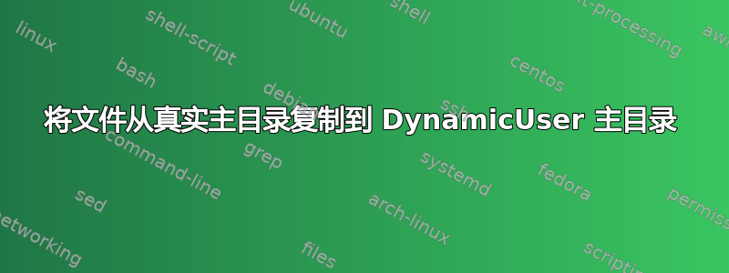 将文件从真实主目录复制到 DynamicUser 主目录