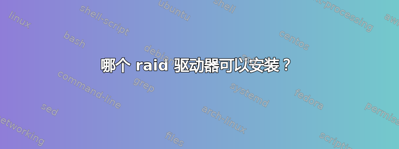 哪个 raid 驱动器可以安装？