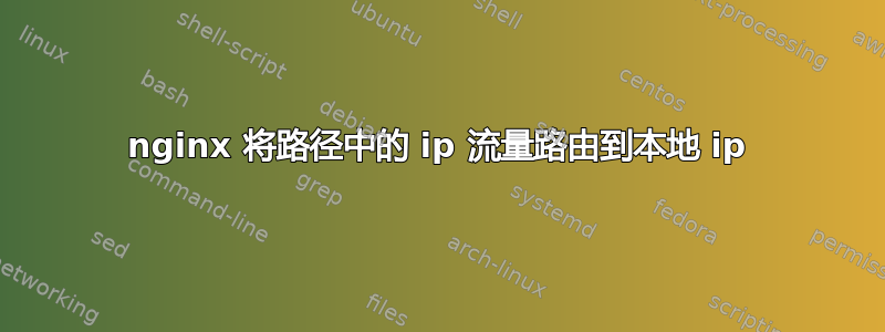 nginx 将路径中的 ip 流量路由到本地 ip