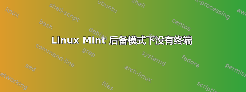 Linux Mint 后备模式下没有终端