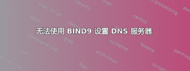 无法使用 BIND9 设置 DNS 服务器