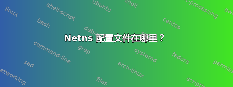 Netns 配置文件在哪里？