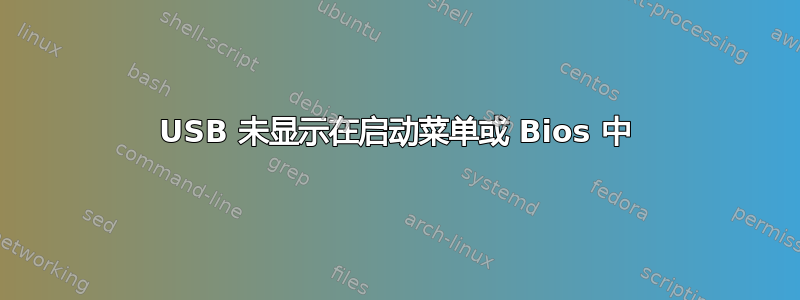 USB 未显示在启动菜单或 Bios 中