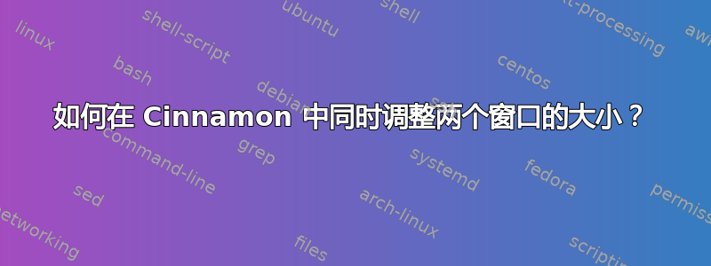 如何在 Cinnamon 中同时调整两个窗口的大小？