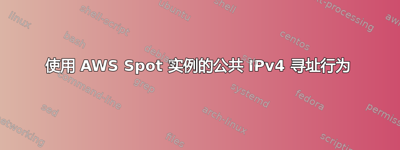 使用 AWS Spot 实例的公共 IPv4 寻址行为