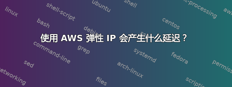 使用 AWS 弹性 IP 会产生什么延迟？