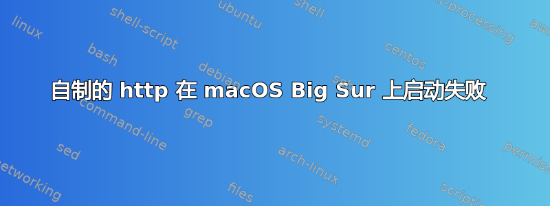 自制的 http 在 macOS Big Sur 上启动失败 