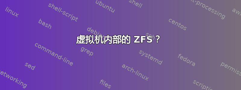 虚拟机内部的 ZFS？