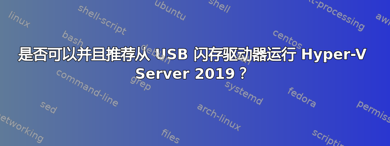 是否可以并且推荐从 USB 闪存驱动器运行 Hyper-V Server 2019？