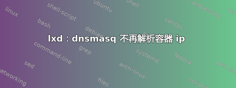 lxd：dnsmasq 不再解析容器 ip