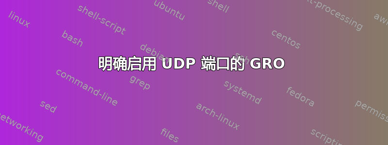 明确启用 UDP 端口的 GRO