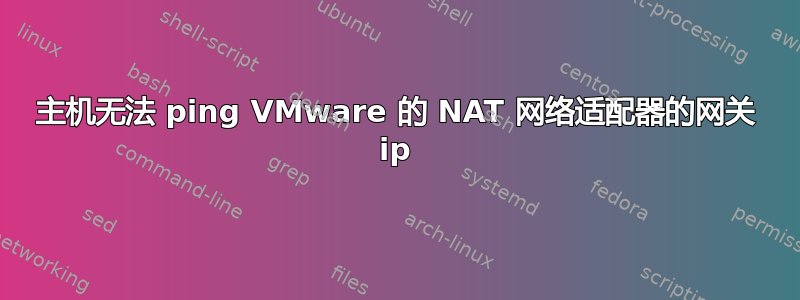 主机无法 ping VMware 的 NAT 网络适配器的网关 ip