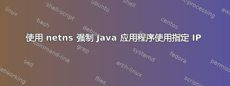 使用 netns 强制 Java 应用程序使用指定 IP