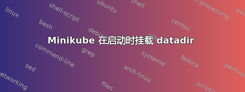 Minikube 在启动时挂载 datadir