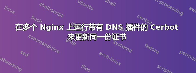 在多个 Nginx 上运行带有 DNS 插件的 Cerbot 来更新同一份证书