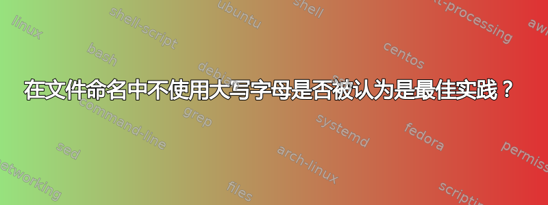 在文件命名中不使用大写字母是否被认为是最佳实践？