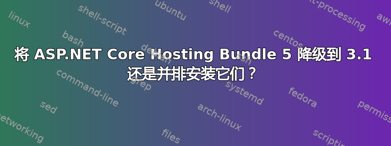 将 ASP.NET Core Hosting Bundle 5 降级到 3.1 还是并排安装它们？