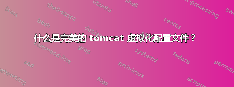 什么是完美的 tomcat 虚拟化配置文件？