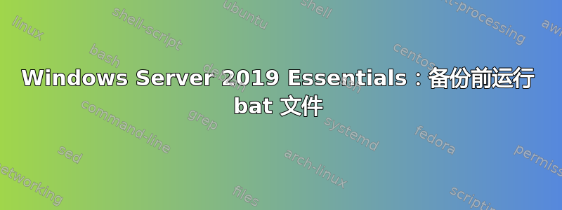 Windows Server 2019 Essentials：备份前运行 bat 文件