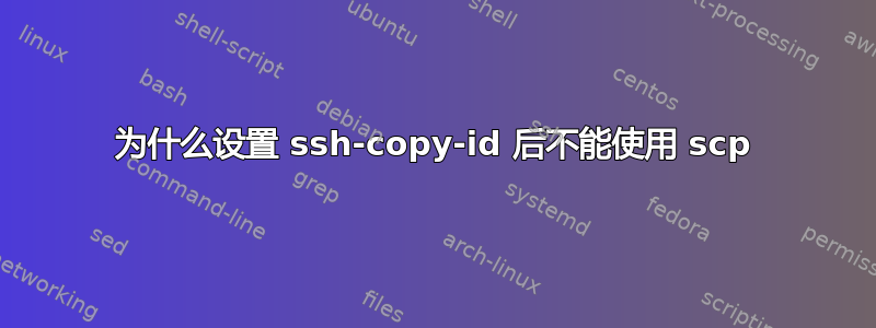 为什么设置 ssh-copy-id 后不能使用 scp