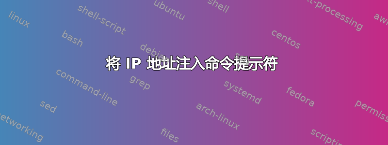 将 IP 地址注入命令提示符