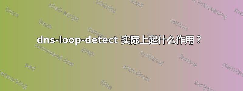 dns-loop-detect 实际上起什么作用？