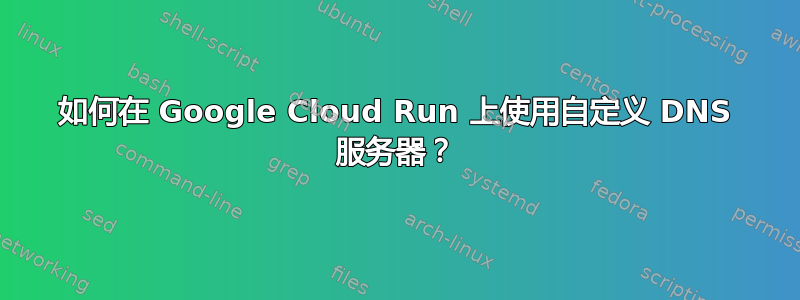 如何在 Google Cloud Run 上使用自定义 DNS 服务器？