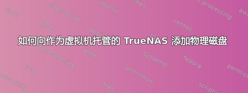 如何向作为虚拟机托管的 TrueNAS 添加物理磁盘