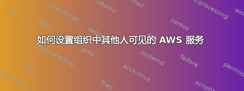 如何设置组织中其他人可见的 AWS 服务