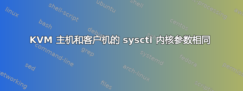 KVM 主机和客户机的 sysctl 内核参数相同