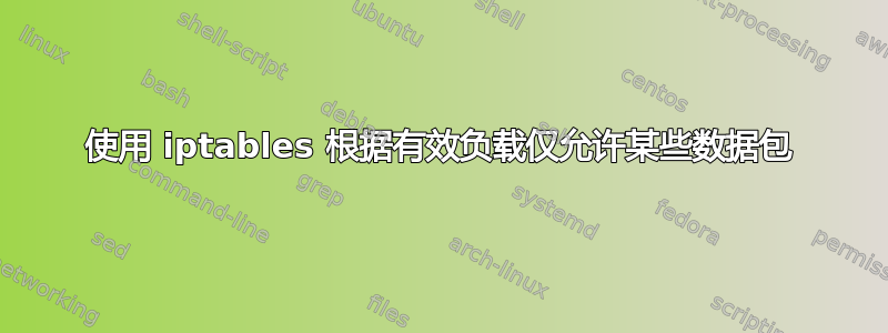 使用 iptables 根据有效负载仅允许某些数据包