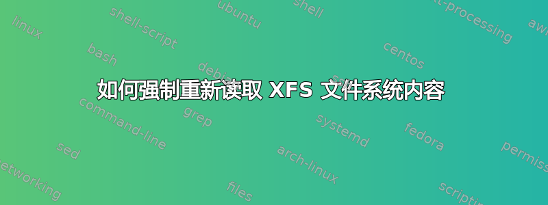 如何强制重新读取 XFS 文件系统内容