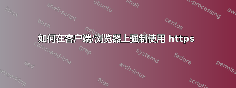 如何在客户端/浏览器上强制使用 https