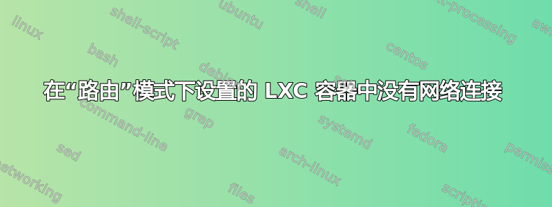 在“路由”模式下设置的 LXC 容器中没有网络连接