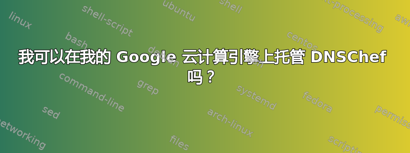 我可以在我的 Google 云计算引擎上托管 DNSChef 吗？