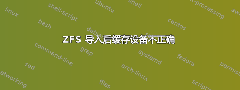 ZFS 导入后缓存设备不正确