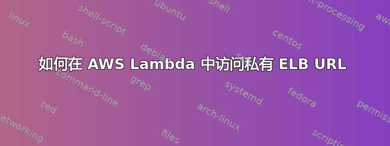 如何在 AWS Lambda 中访问私有 ELB URL