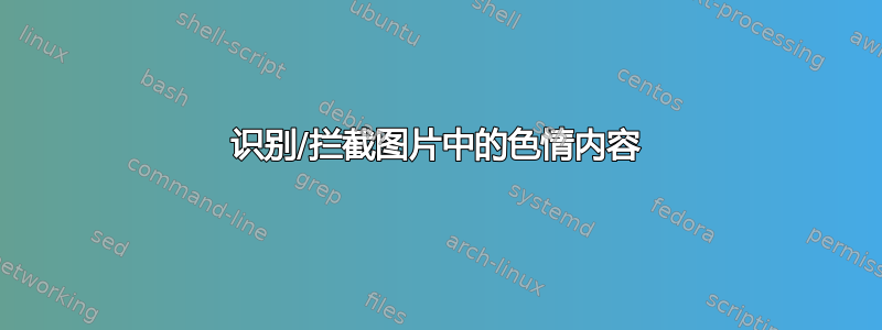 识别/拦截图片中的色情内容