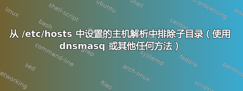 从 /etc/hosts 中设置的主机解析中排除子目录（使用 dnsmasq 或其他任何方法）