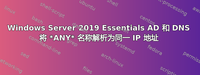 Windows Server 2019 Essentials AD 和 DNS 将 *ANY* 名称解析为同一 IP 地址