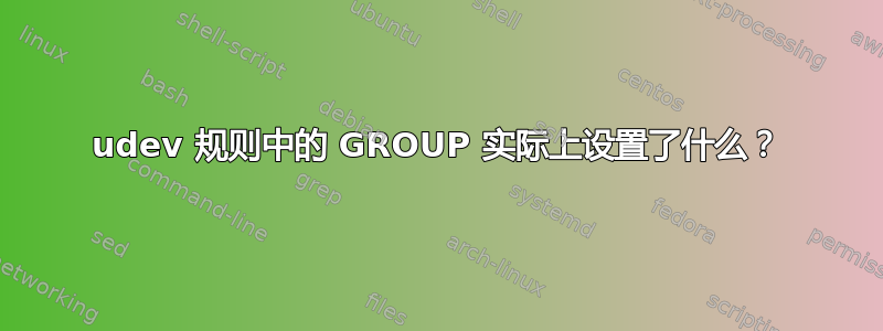 udev 规则中的 GROUP 实际上设置了什么？