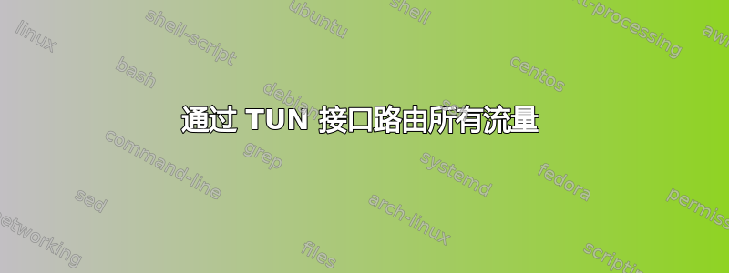 通过 TUN 接口路由所有流量