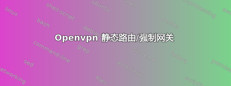 Openvpn 静态路由/强制网关