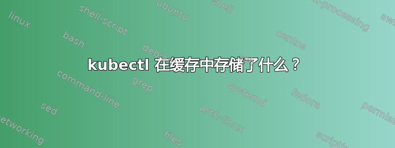 kubectl 在缓存中存储了什么？