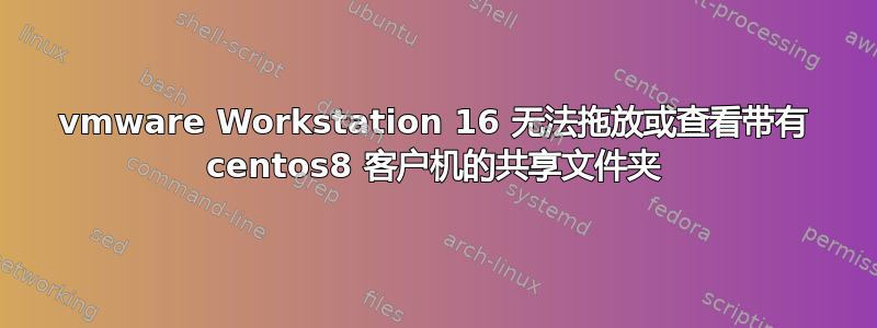 vmware Workstation 16 无法拖放或查看带有 centos8 客户机的共享文件夹