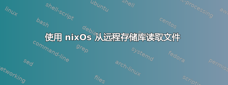 使用 nixOs 从远程存储库读取文件