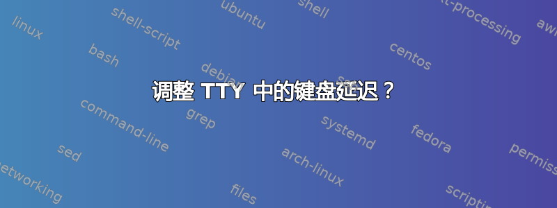 调整 TTY 中的键盘延迟？