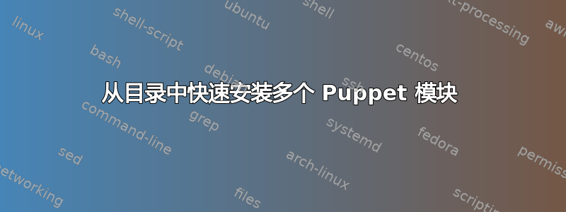 从目录中快速安装多个 Puppet 模块