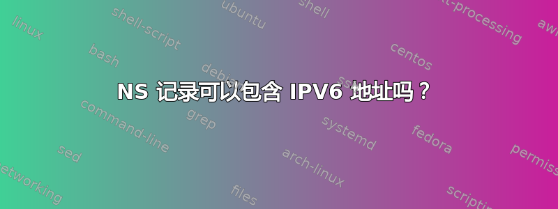 NS 记录可以包含 IPV6 地址吗？